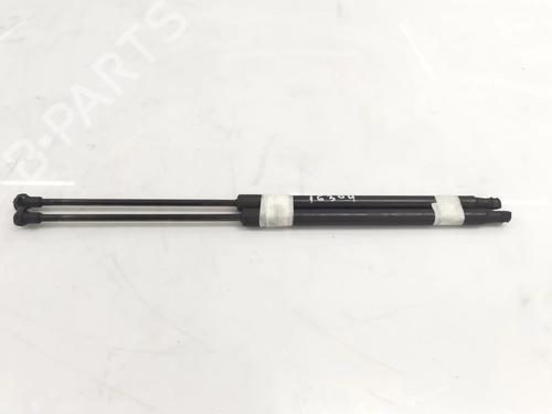 Tailgate lift support NISSAN QASHQAI / QASHQAI +2 I (J10, NJ10, JJ10E) 1.6 | BP15251987C138 