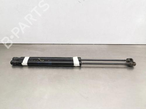 Used Tailgate lift support OPEL ZAFIRA / ZAFIRA FAMILY B (A05) 1.9 CDTI (M75) (120 hp) 17174240