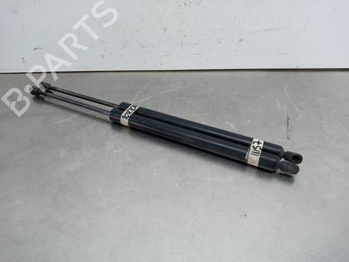 Tailgate lift support SEAT ALHAMBRA (7V8, 7V9)  | BP14020031C138 