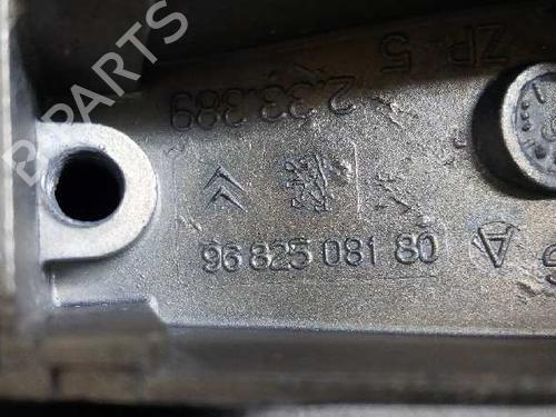 Rear left exterior door handle CITROËN C4 I (LC_)  | BP8440908C130 