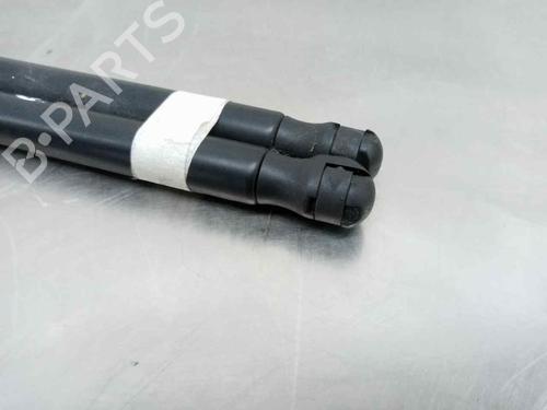 Tailgate lift support SEAT ALTEA (5P1)  | BP14020056C138 