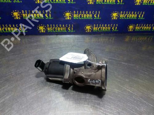 Used Egr OPEL COMBO Box Body/MPV [2001-2025]  8439886