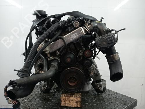 Engine BMW 5 Touring (F11) 520 d | BP34536326M1  - Image 5