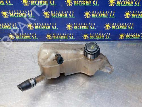 Used Expansion tank RENAULT SCÉNIC II (JM0/1_) 1.5 dCi (JM0F) (82 hp) 8448215