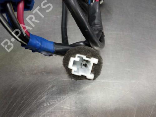 Electronic module HYUNDAI SANTAMO  | BP14017981M83 