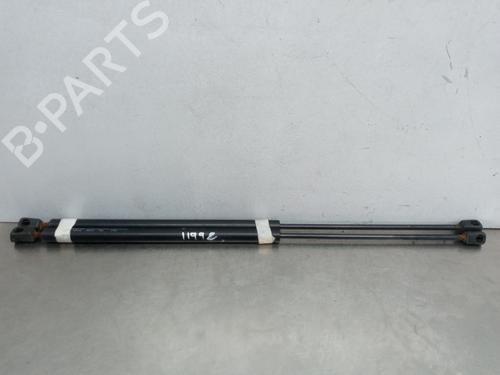 Used Tailgate lift support FORD FIESTA V (JH_, JD_) 1.4 TDCi (68 hp) 14020445