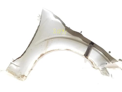 Left front fenders NISSAN PATHFINDER III (R51) 2.5 dCi 4WD | BP20666707C41 