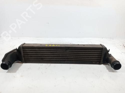 Intercooler BMW 3 (E46) 330 d (184 hp)null