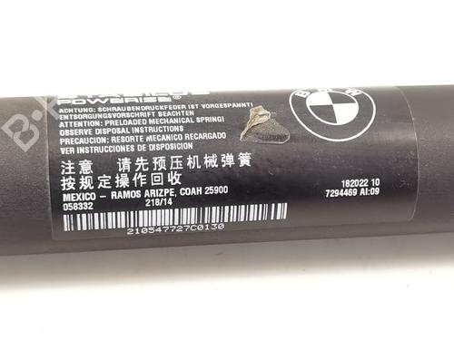 Tailgate lift support BMW X5 (F15, F85) xDrive 25 d | BP24680682C138 