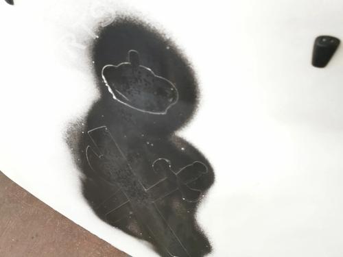 Hood LAND ROVER FREELANDER 2 (L359) 2.2 TD4 4x4 | BP10359088C1 