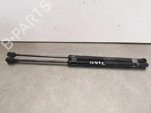 Used Tailgate lift support MERCEDES-BENZ A-CLASS (W169) A 180 CDI (169.007, 169.307) (109 hp) 14019909