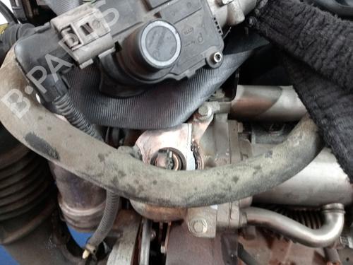 Motor RENAULT MEGANE II Saloon (LM0/1_) 1.5 dCi (LM1E) | BP29613750M1 