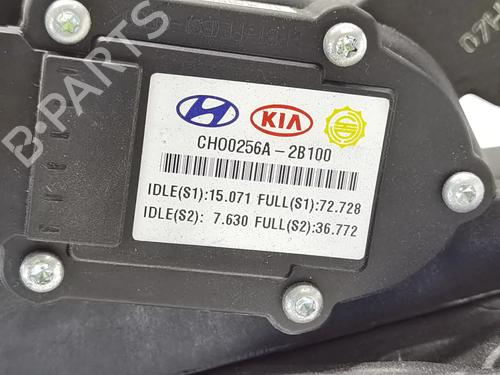 Pedal HYUNDAI SANTA FÉ II (CM) 2.2 CRDi GLS | BP16863076I4 