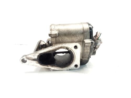 Egr RENAULT MEGANE II (BM0/1_, CM0/1_)  | BP27324699M69 