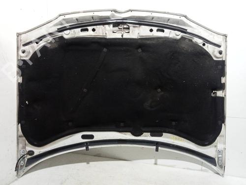 Hood VW GOLF IV (1J1)  | BP24622000C1 