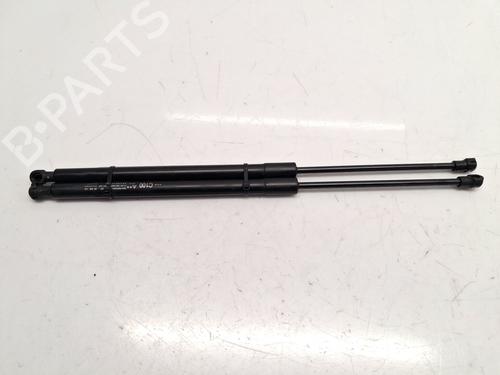 tailgate-lift-support-chevrolet-captiva-c100-c140-2006-32449680 main image