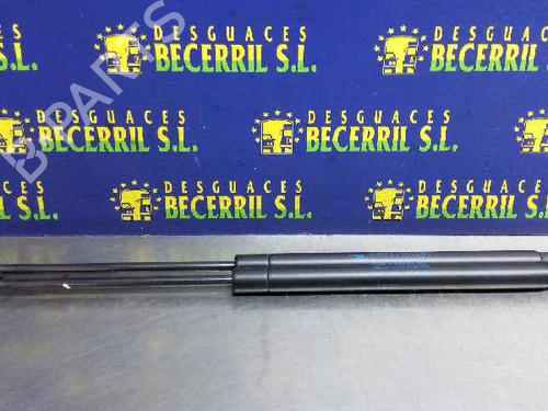 Used Tailgate lift support CITROËN C3 I (FC_, FN_) 1.4 HDi (70 hp) 14017964