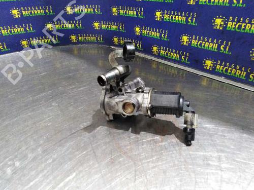 Egr OPEL COMBO Box Body/MPV | BP8461389M69