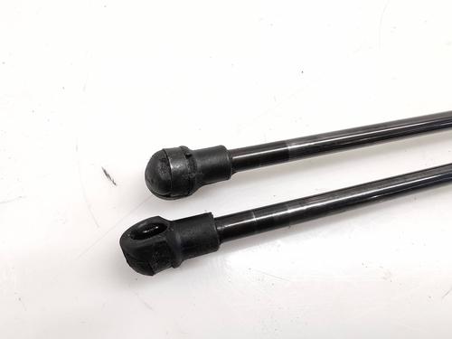 Tailgate lift support NISSAN QASHQAI I (J10, NJ10)  | BP21145039C138 