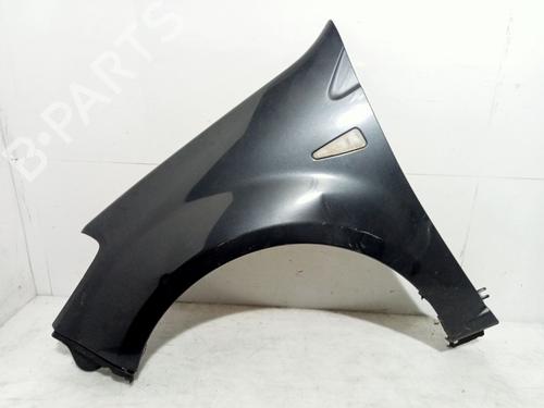 Used Left front fenders DACIA SANDERO [2008-2025]  24621969