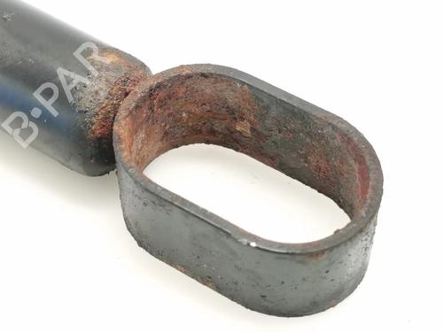 Hinge/Door check strap BMW 7 (E65, E66, E67) 745 i, Li | BP16832298C146 
