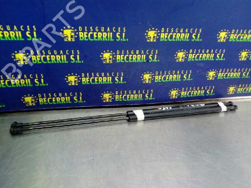 Used Hood lift support PEUGEOT 306 (7B, N3, N5) 1.9 D (69 hp) 14019373