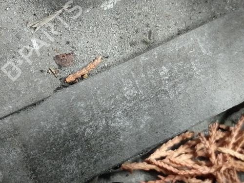 Gearbox SEAT IBIZA III (6L1) 1.9 TDI | BP30081979M3