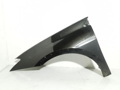 Used Left front fenders RENAULT LAGUNA III (BT0/1) 2.0 dCi (BT01, BT08, BT09, BT0E, BT0K, BT12, BT1C, BT1D,... (150 hp) 24598289