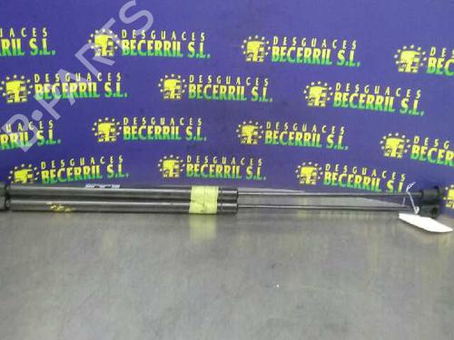 Used Tailgate lift support CITROËN ZX (N2) [1991-1999]  14025327
