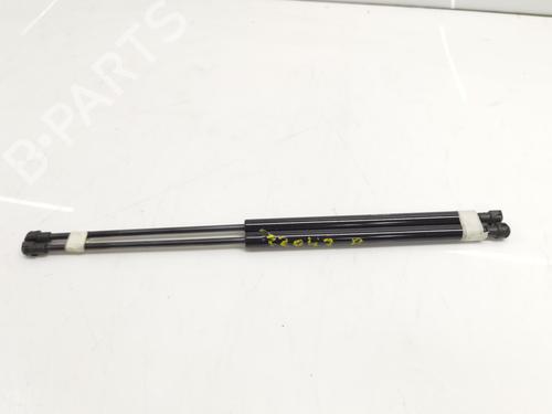 tailgate-lift-support-renault-scenic-ii-jm01_-2003-2004-2005-2006-2007-2008-2009-2010-34103231 main image