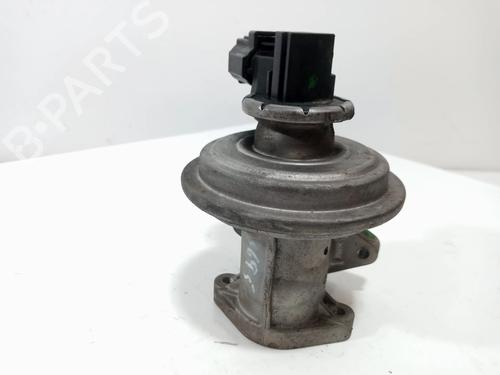 Egr FORD MONDEO III (B5Y)  | BP10202456M69 