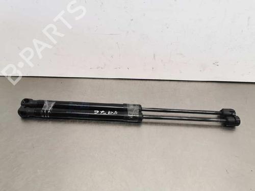 Used Tailgate lift support SEAT TOLEDO III (5P2) 1.9 TDI (105 hp) 14019489