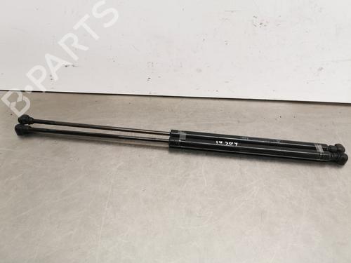 Gasdæmper bagklap CITROËN ZX (N2) [1991-1999]  14019948