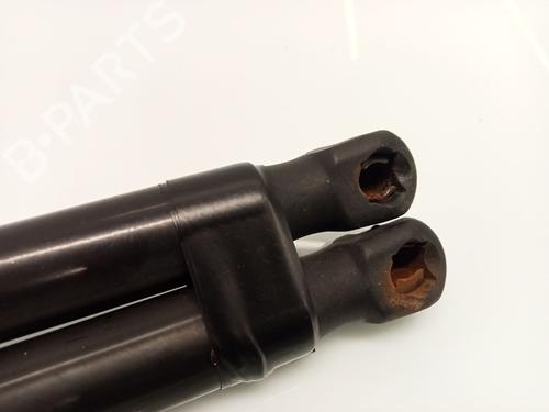 Tailgate lift support AUDI A1 Sportback (8XA, 8XF) 1.6 TDI | BP24951206C138 