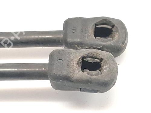 Tailgate lift support FORD C-MAX II (DXA/CB7, DXA/CEU) 1.0 EcoBoost | BP30154163C138 