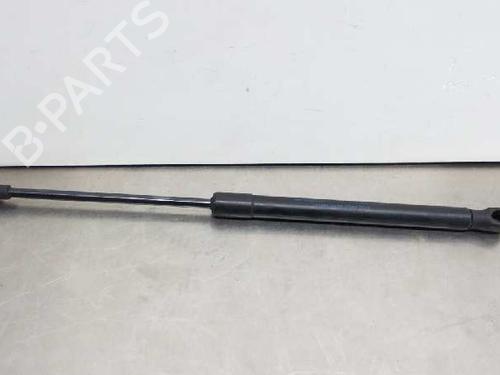 Used Hood lift support VW CADDY III MPV (2KB, 2KJ, 2CB, 2CJ) 1.9 TDI (75 hp) 14019381