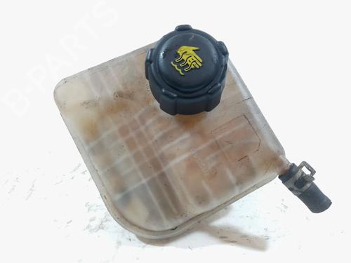 Used Expansion tank NISSAN QASHQAI / QASHQAI +2 I (J10, NJ10, JJ10E) 1.5 dCi (106 hp) 8485767