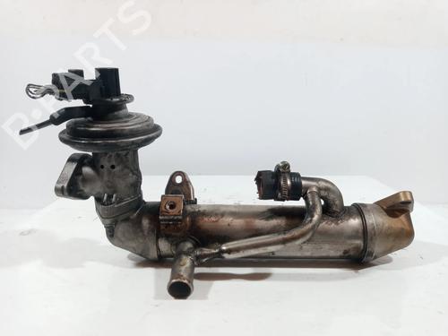 Used Egr FORD MONDEO III (B5Y) 2.0 16V TDDi / TDCi (115 hp) 14021205