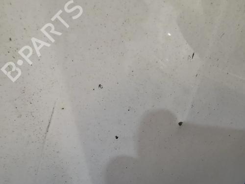 Hood FORD TOURNEO CONNECT  | BP17988628C1 