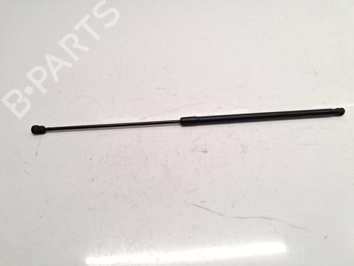 Pansergassdemper VW GOLF V (1K1) 1.9 TDI (105 hp) 30963469