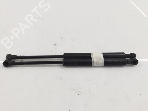 Used Hood lift support BMW 3 (E46) 330 d (184 hp) 15219658