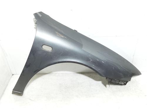 Used Right front fenders SEAT TOLEDO II (1M2) 1.9 TDI (110 hp) 27410202