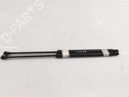 Used Tailgate lift support NISSAN QASHQAI / QASHQAI +2 I (J10, NJ10, JJ10E) 1.6 (114 hp) 15251987