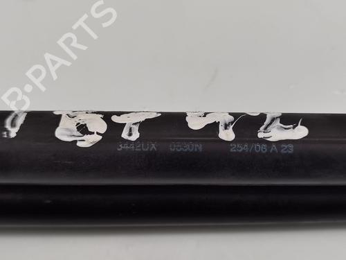 Tailgate lift support FORD FOCUS II (DA_, HCP, DP)  | BP24455313C138 