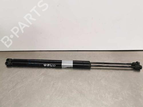 Used Tailgate lift support FORD FIESTA V (JH_, JD_) [2001-2014]  14019629