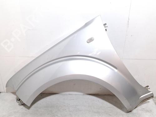 Used Left front fenders NISSAN PATHFINDER III (R51) 2.5 dCi 4WD (171 hp) 30155572