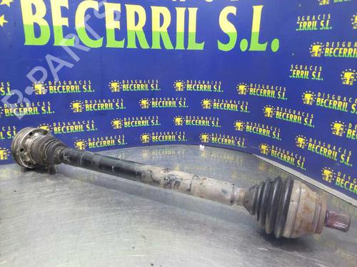 Used Right front driveshaft SEAT TOLEDO III (5P2) [2004-2009]  8430175