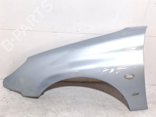 Used Left front fenders PEUGEOT 206 Hatchback (2A/C) 1.6 16V (109 hp) 30145106