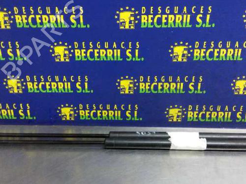 Used Tailgate lift support SEAT IBIZA III (6L1) [2002-2009]  14017651