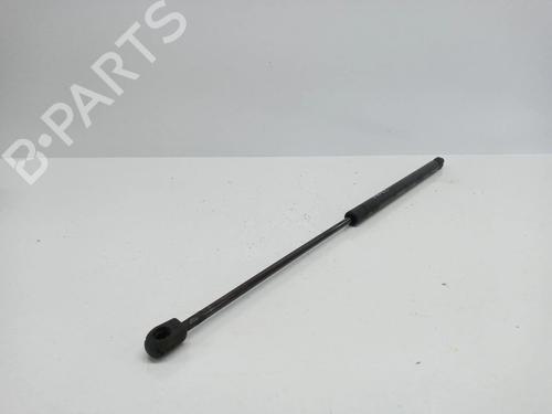 Used Hood lift support CITROËN XSARA (N1) 1.9 D (70 hp) 14021689